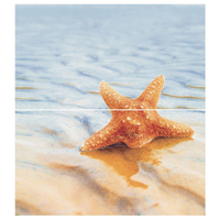 Starfish_2